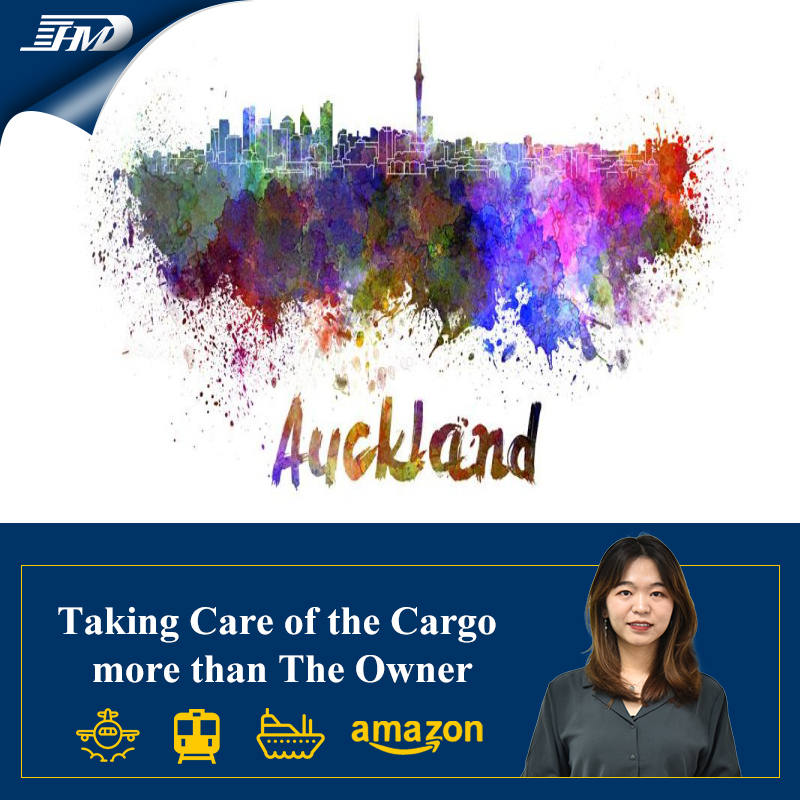 Ocean freight agent sea shipping rates from China to Auckland door to door cargo services 