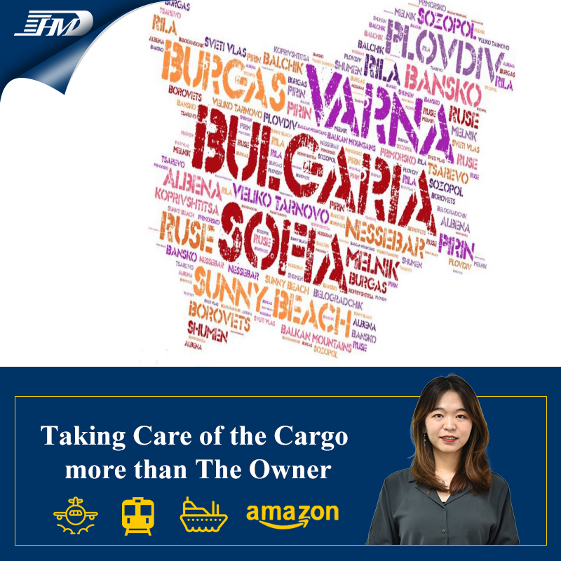 Shipping Agent Cargo Ship Door to Door Shipping Freight Forwarder Sea to Toronto