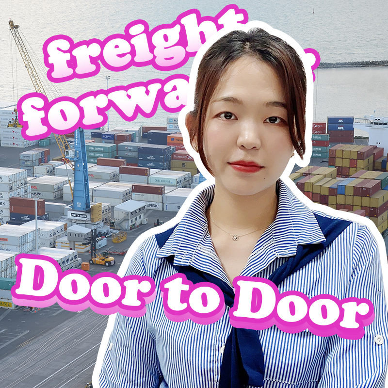 ocean shipping agency in china freight forward from shenzhen to usa