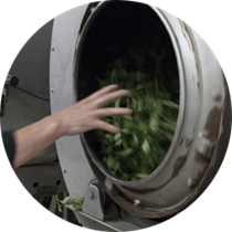 ჩინეთი ჩაის ფიქსაციის შემწველი მანქანა მწარმოებელი