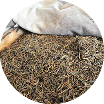 ჩინეთი ჩაის დუღილის მანქანა მწარმოებელი