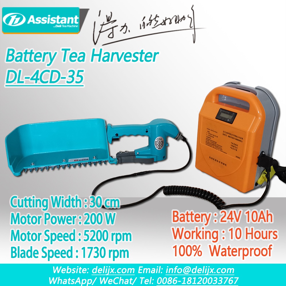 Baterai Lithium 24V 10Ah Dioperasikan Brushless Mini Tea Harvester DL-4CD-35