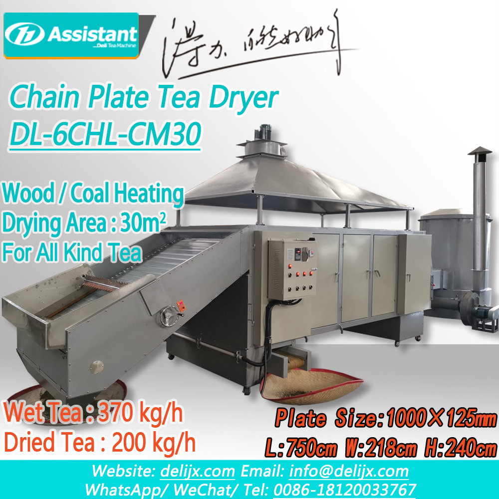 Green Tea Leaf Drying Machine