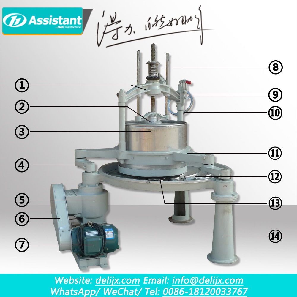 55cm Large Type Double-Arm Tea Roller Machine With Stainless Steel Table DL-6CRT-55
