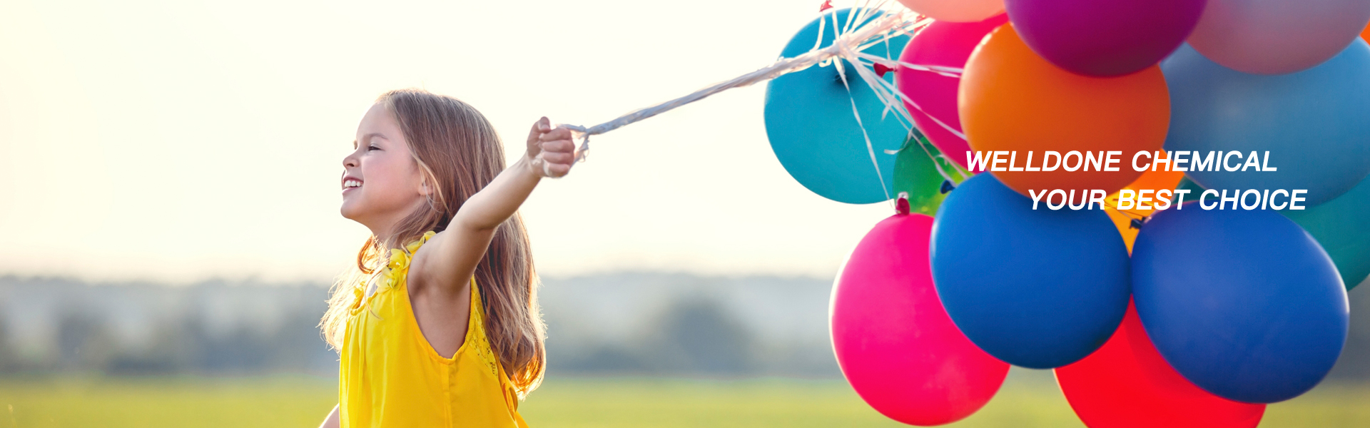 construction chemical