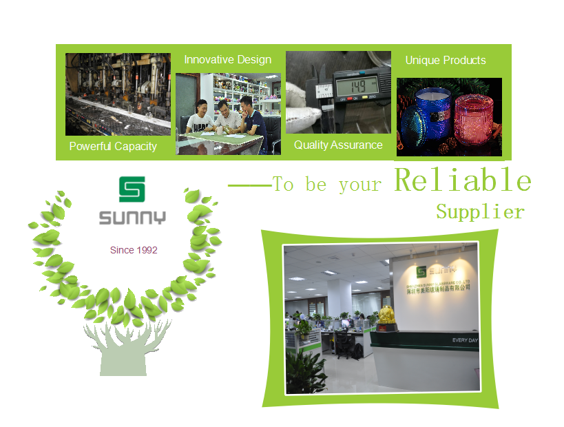 Our Team Sunny