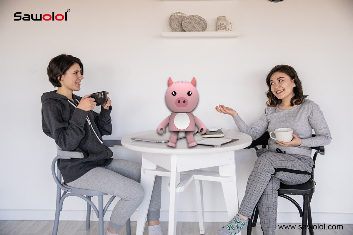 China my audio pet speaker supplier