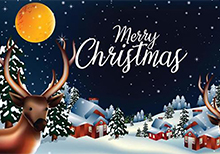 Ti auguro un buon Natale e un prospero anno nuovo! Ti auguro un buon Natale e un prospero anno nuovo!