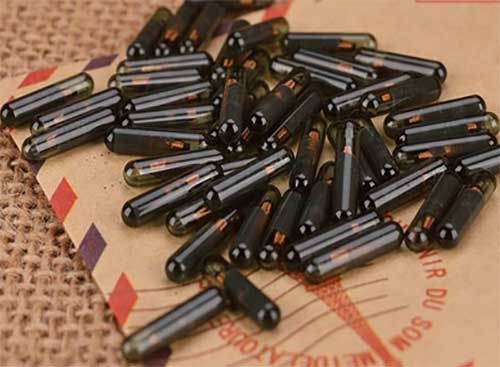 Cina Vuoi iniettare al tuo animale domestico le etichette con microchip per animali RFID? produttore