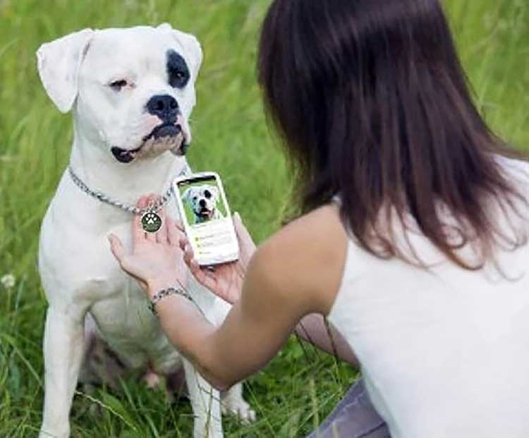 Las etiquetas para mascotas NFC digitalizan la información de mascotas perdidas para acelerar el rescate