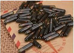 China Quer injetar no seu animal de estimação etiquetas de microchip para animais RFID? fabricante