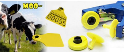 China How To do RFID Animal Tracking Effect On Animals Management manufacturer