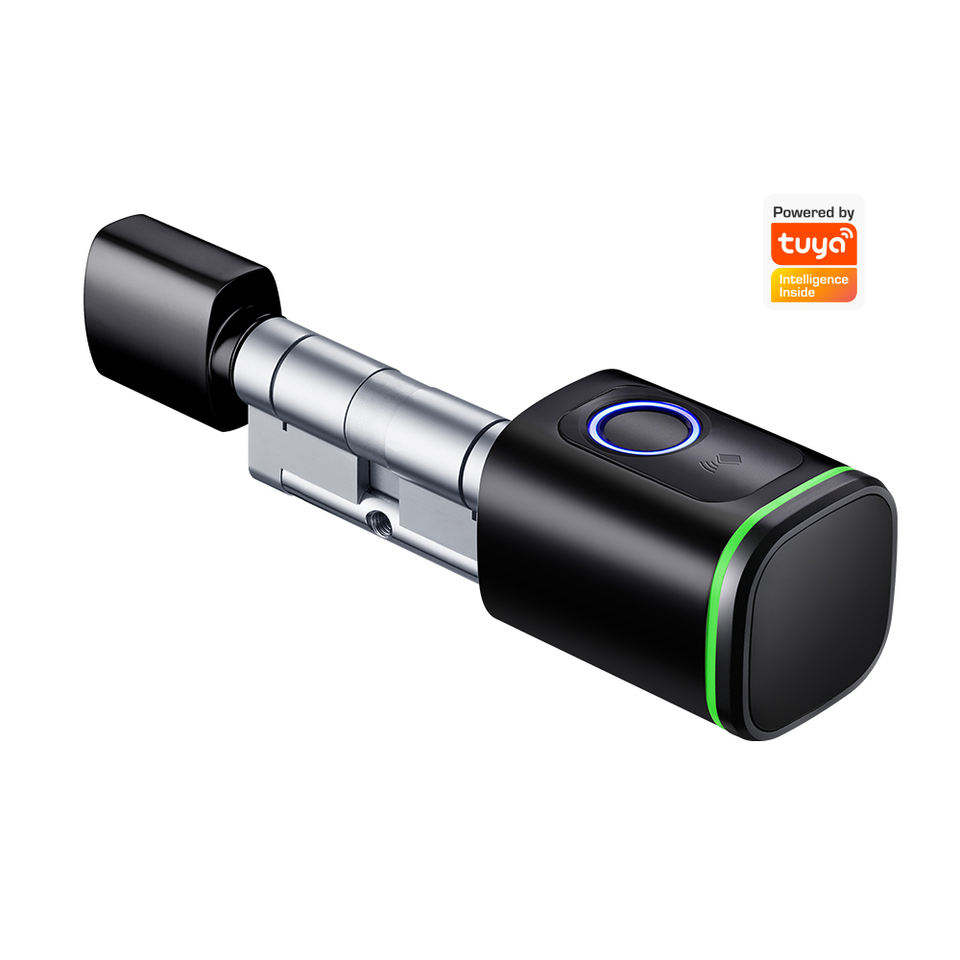 기계식 키 유로 지문 Tuya 스마트 잠금 장치가 있는 TT 잠금 실린더 잠금 장치