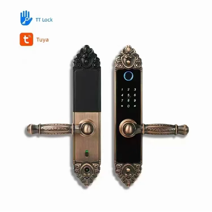 اسمارٹ ہوم ڈیجیٹل فیکڈورا الیکٹرانک فنگر پرنٹ سیرراڈوراس انٹیلیجنٹس سیکیورٹی سمارٹ ڈور ہینڈل لاک