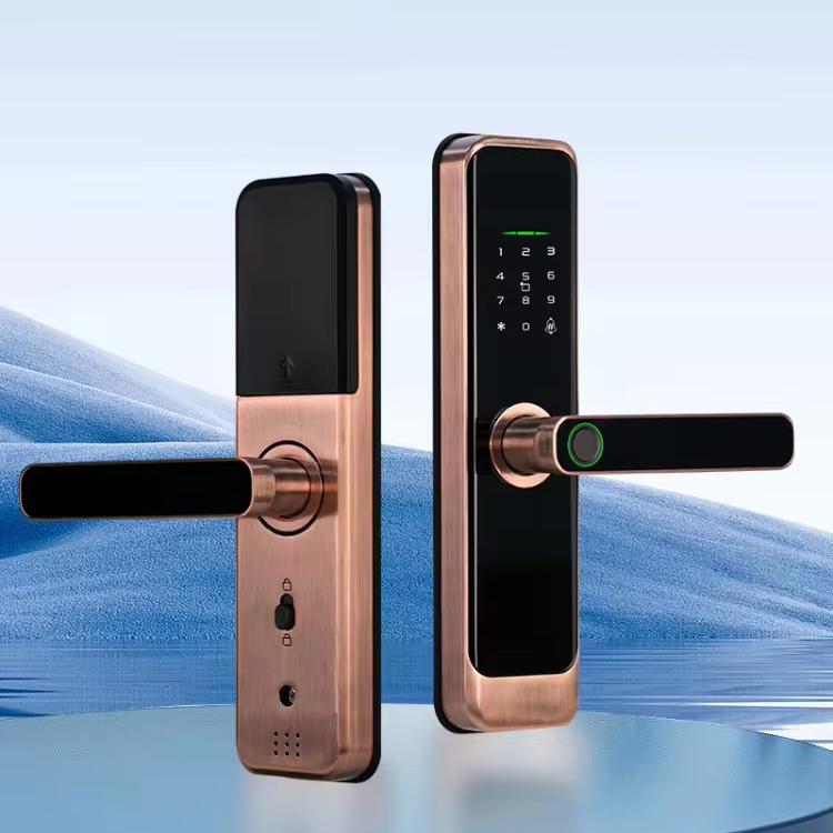 新品智能门锁指纹卡涂鸦Wifi TTlock APP摄像头猫眼门锁