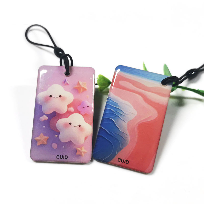 Теңшелетін смарт кілт Nfc google шолу картасын көшіру белгішесі Nfc 213 215 жекелендірілген карталар таңбалауышы Rfid эпоксидті карта