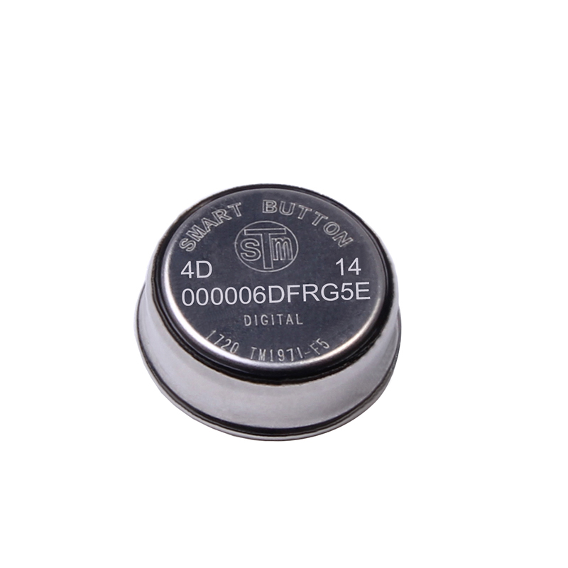 256 bit DS1971 TM1971-F5 plastik tutucu Ibutton kartı