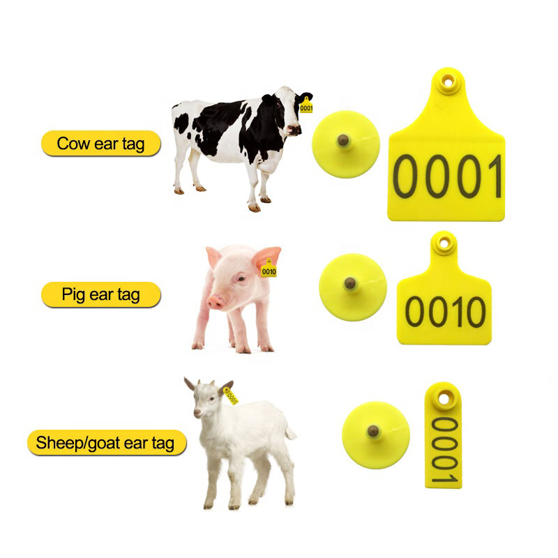 숫자 바 코드 로고 귀 귀이 태그 양 소 귀구가있는 동물 귀 태그