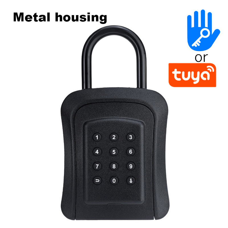 Tuya Smart Key Lock Box WiFi Fechadura Electronics Password 벽 장착 보안 TTLOCK APP BT 잠금 저장