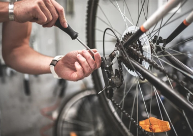 China Bike Maintenance for Longevity and Performance manufacturer