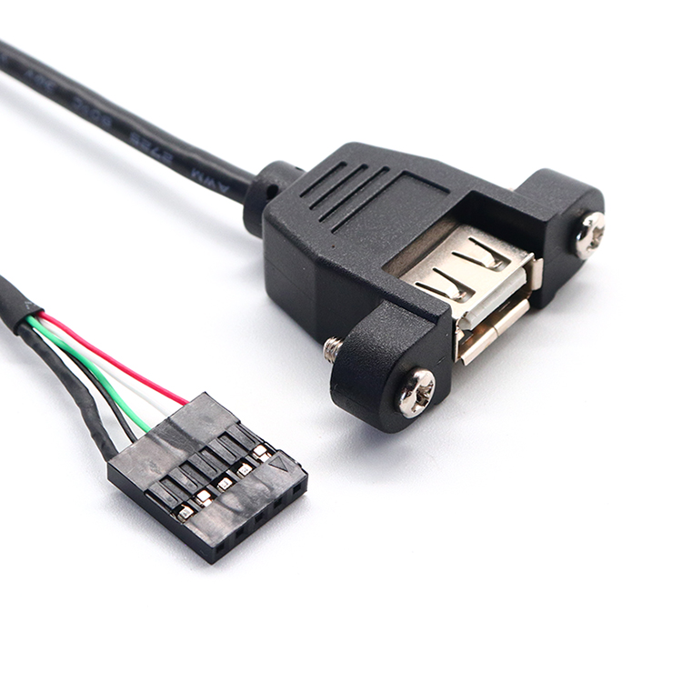 Cavo di prolunga per montaggio a pannello da 5 pin a USB 2.0 A femmina Dupont