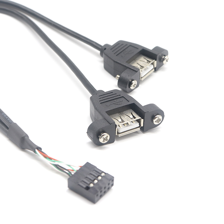 Podwójny kabel USB 2.0 A żeński do Dupont 10pin żeński kabel do montażu na panelu z blokadą śrubową