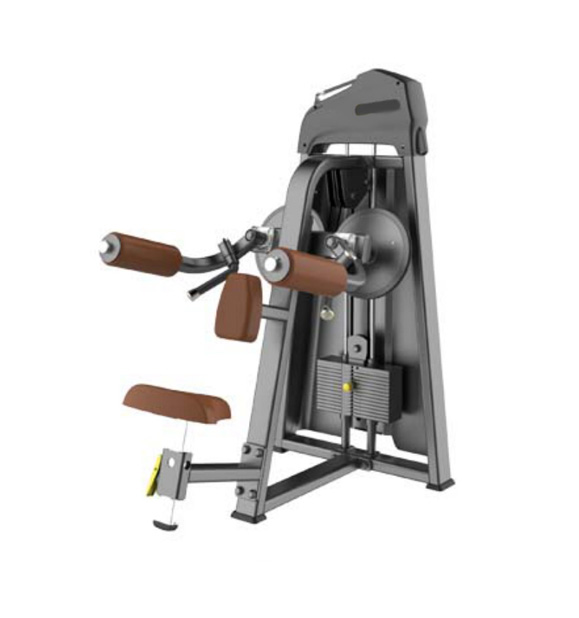 China China factory fitness equipment lateral raise body building equipment manufacturer