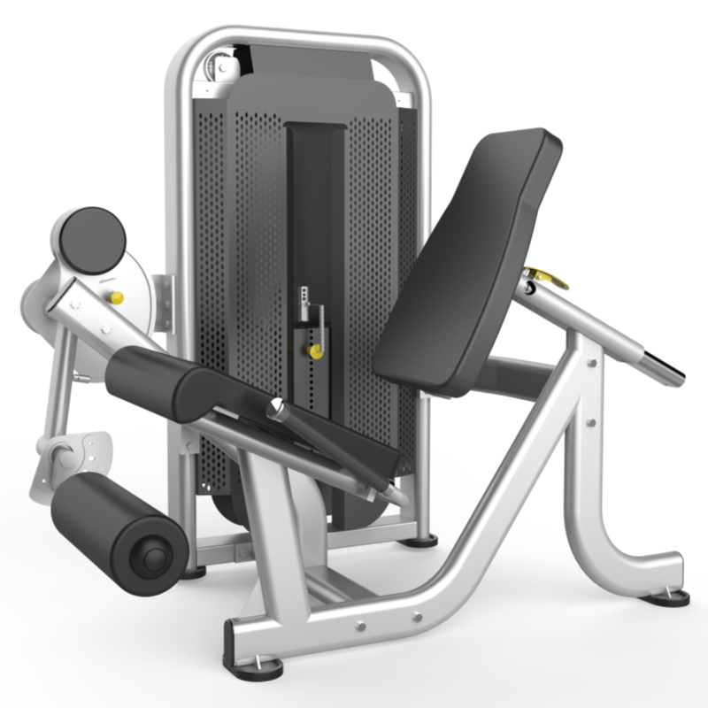 China China factory produce Leg Extension Selectorized Equipment manufacturer