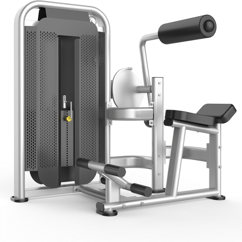 China Gym training back extension equipment manufacturer