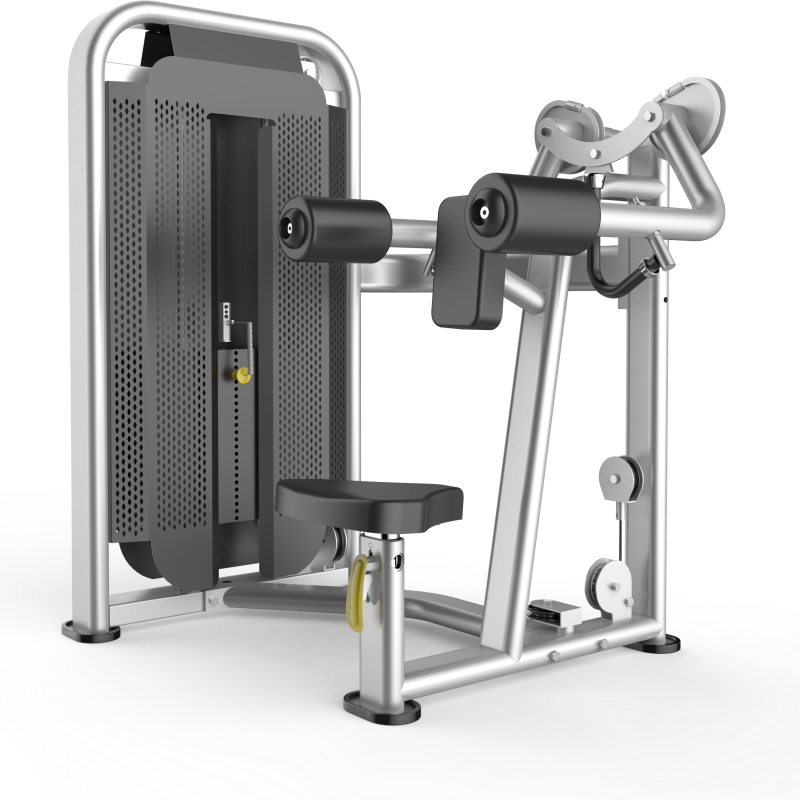 China Lateral raise gym equipment from China manufacturer manufacturer
