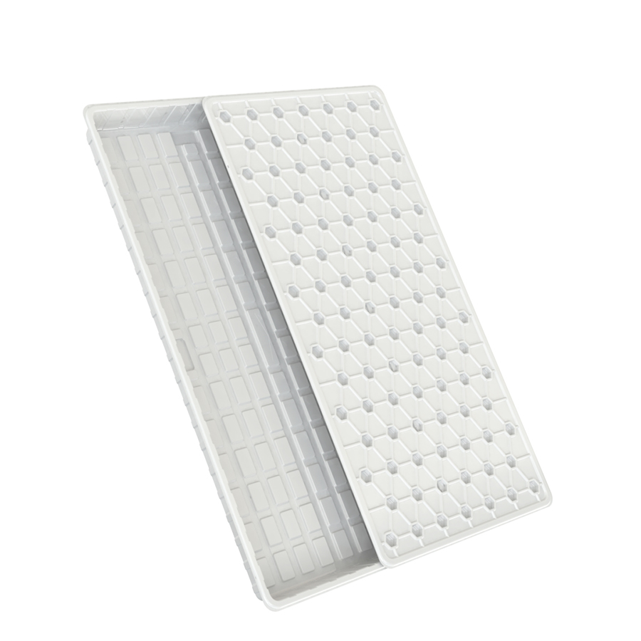 خيمة كبيرة رخيصة 4 × 8 خيمة داخلية ونباتات حدائق خارجية بلاستيكية تنمو مع غطاء