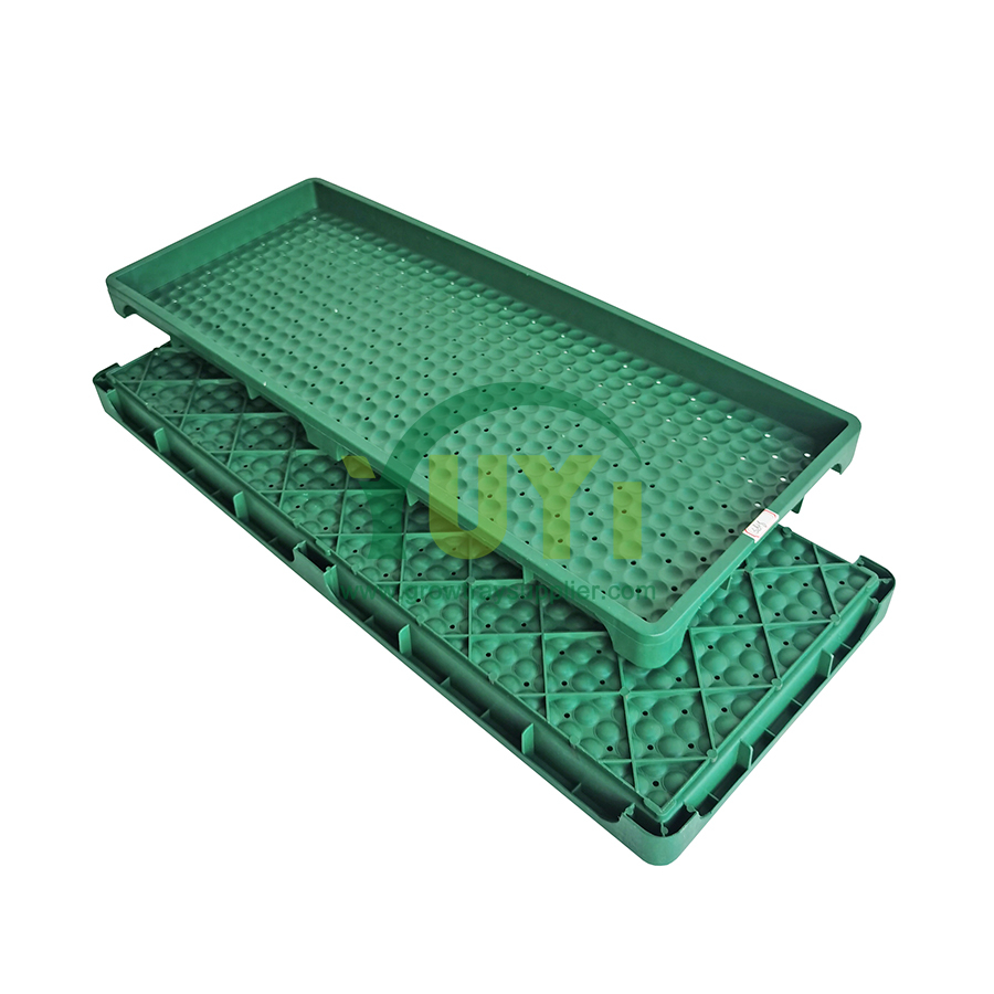 250x600mm 300x600mm Estufa Agrícola Berçário Cultura Bandeja de mudas de arroz para arroz
