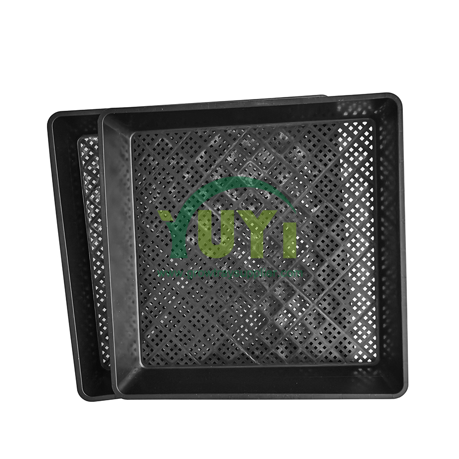 علبة سوداء مربعة الشكل من الفاصوليا الضحلة والشعير وعشب القمح والنباتات الخضراء صينية زراعة بلاستيكية مزودة بثقوب