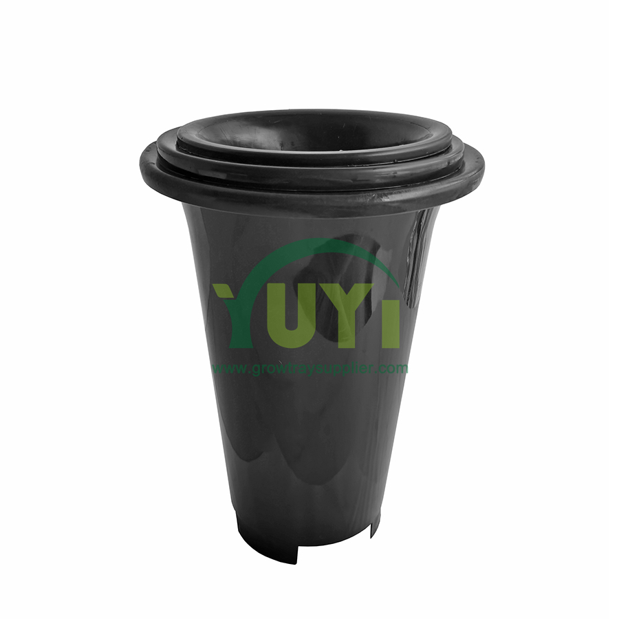 Chungu Nafuu cha Kitalu cha Maua ya Cymbidium Shimo Chini Kubwa Mviringo Mrefu Nyeusi PP Kipanda Orchid ya Plastiki