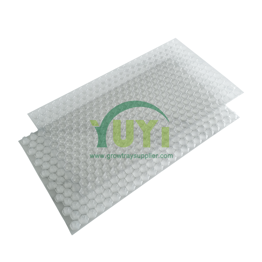 353 Lỗ lục giác PET Nông nghiệp Vườn ươm Gieo hạt Lúa Cây giống Cấy khay đựng gạo