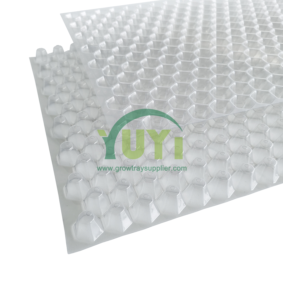 353 Hexagon Holes PET Agriculture Nursery Seeding Paddy Seedling Transplanting Throwing Rice Tray