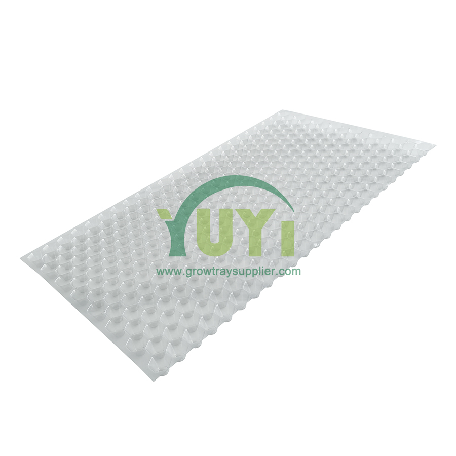 353 Hexagon Holes PET Agriculture Nursery Seeding Paddy Seedling Transplanting Throwing Rice Tray