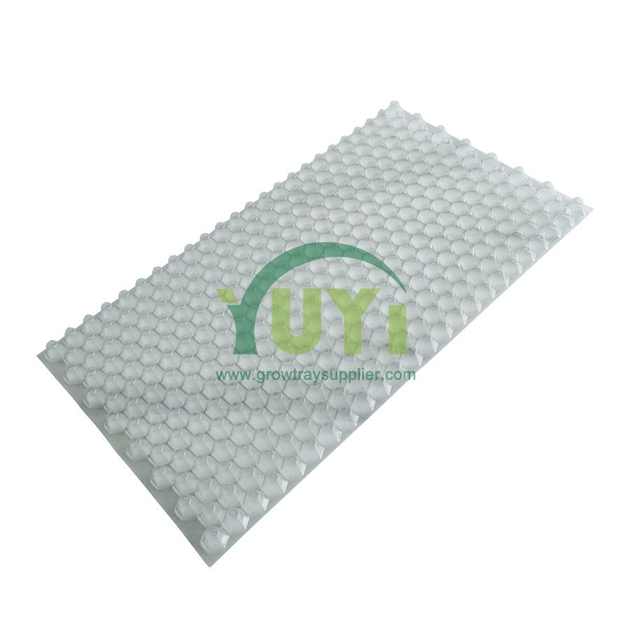 353 Hexagon Holes PET Agriculture Nursery Seeding Paddy Seedling Transplanting Throwing Rice Tray