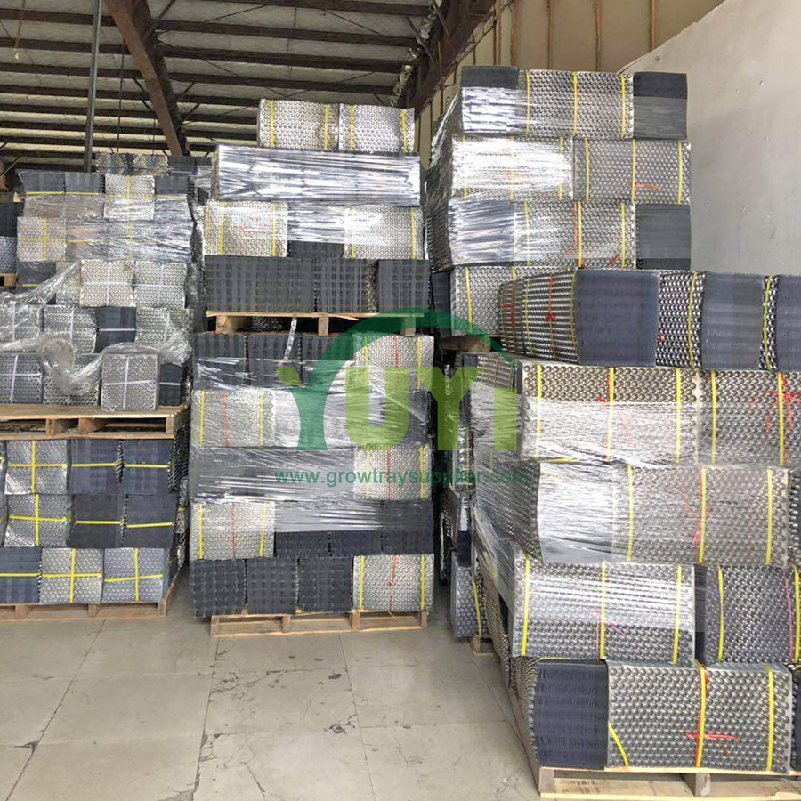 353 Hexagon Holes PET Agriculture Nursery Seeding Paddy Seedling Transplanting Throwing Rice Tray