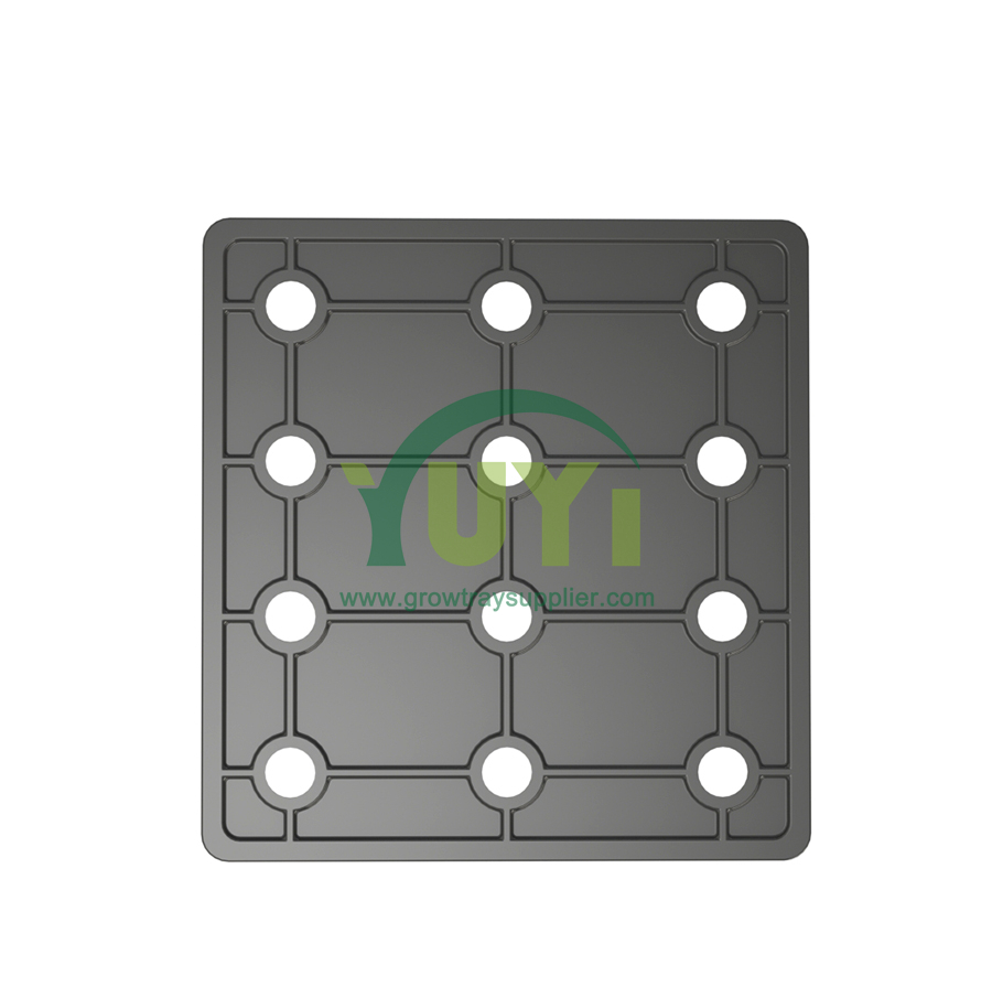 Custom großes 2x4 Fuß Abs Kunststoff Modulares Wachstumschale mit Deckel für vertikale hydroponische Kultivierung von Gewürz und Gemüse