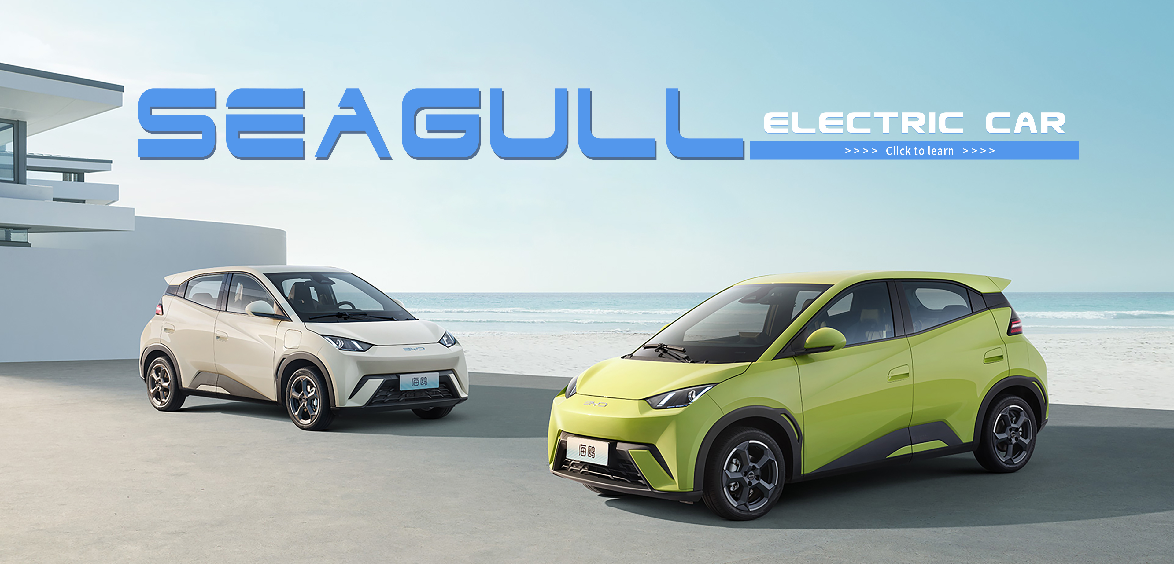 Seagull（比亚迪海鸥）