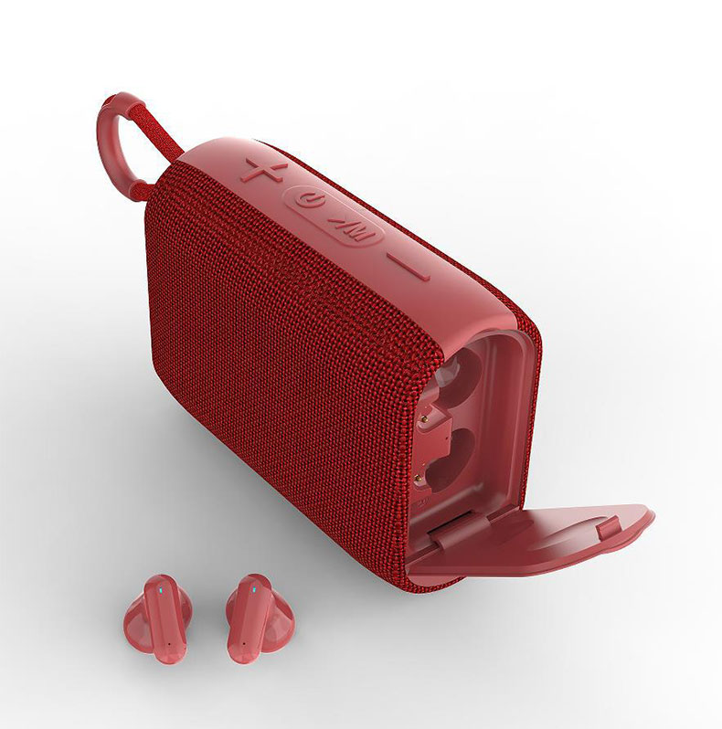 2 in 1 Wireless Speaker with TWS Earphone