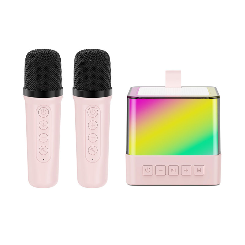 Portable Microphone Mini Speaker