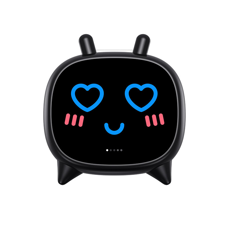 DIY  Display TWS  Earphones