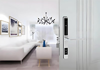 Wir stellen die schlüssellosen, diebstahlsicheren, grifflosen Einstecktürschlösser aus Aluminium für Modern Security Solutions vor