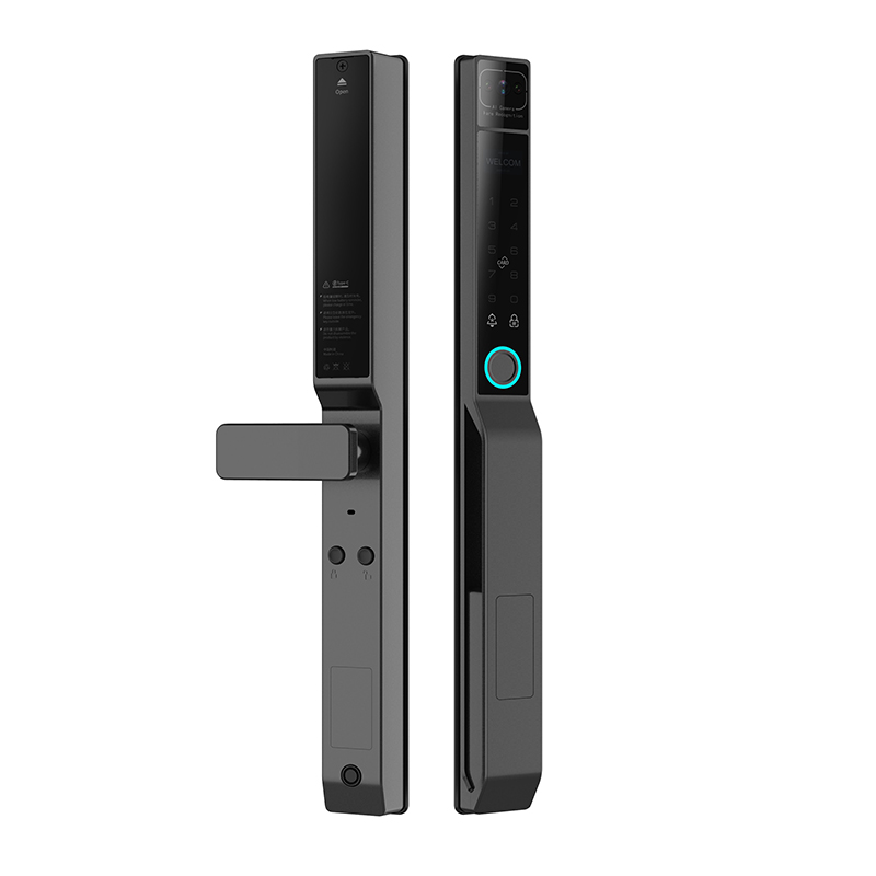 Waterproof Face ID Fingerprint Password Glass Door Lock With Tuya App
