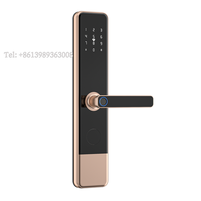 Verschiedene Smart-Lock-Technologien: Fingerabdruck-, RFID-Hybrid- und Passwortschlösser