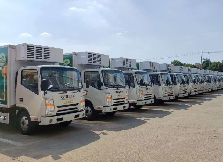 Cold Chain Logistics: Selecting an Export-Focused Refrigerated Truck Partner