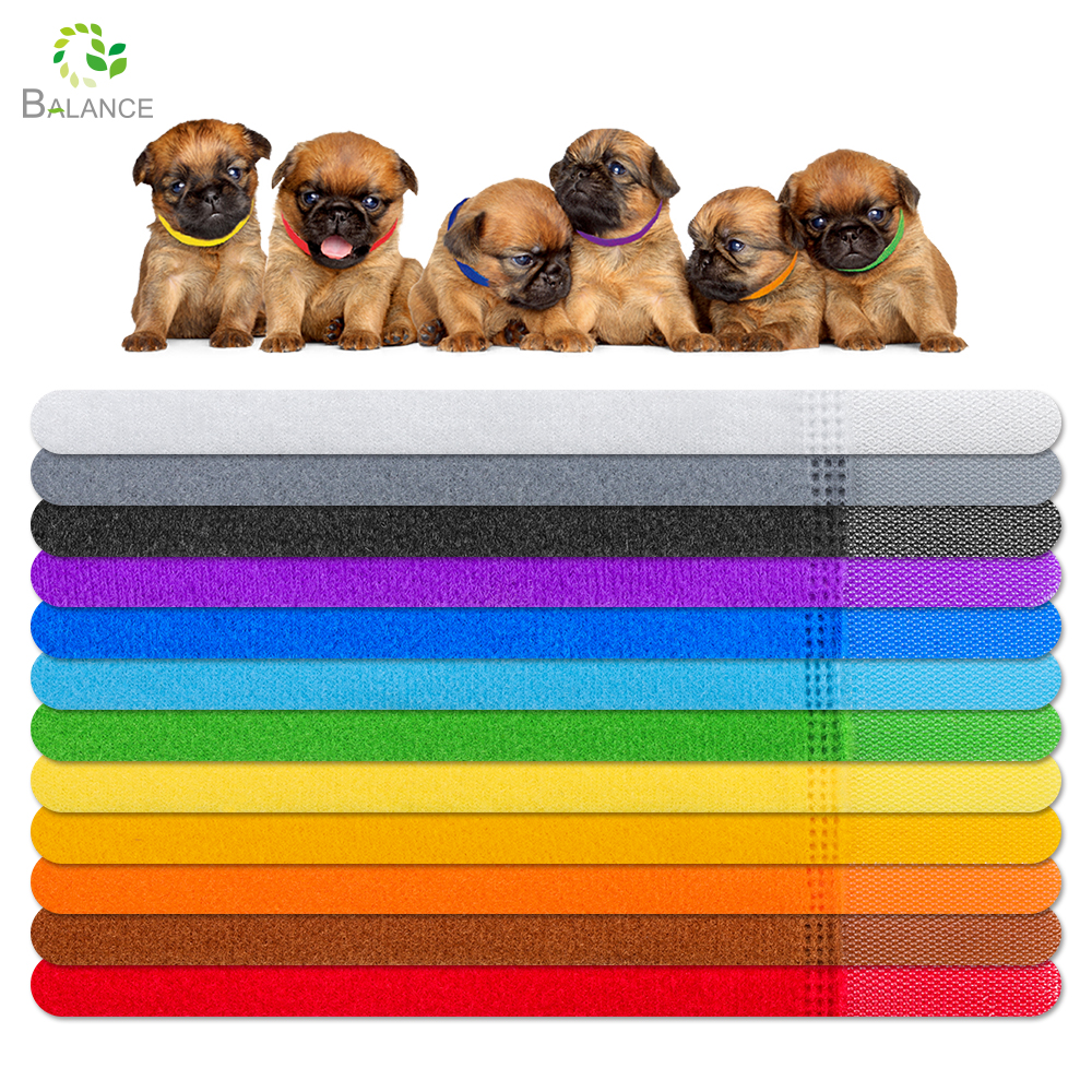 Keep Your Tiny Pet Safe & Identifiable: Easy-to-Spot Pet Straps for Kittens & Puppies!