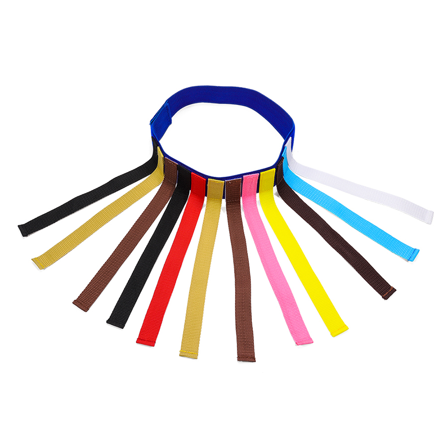 CE Certified Customizable Kids Toy Kindergarten Tail Pulling Prop Supplier Outdoor Group Play Equipment